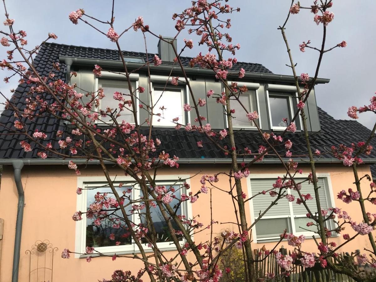 Appartamento Kleine Auszeit Mit Aussicht Velbert Toenisheide Esterno foto