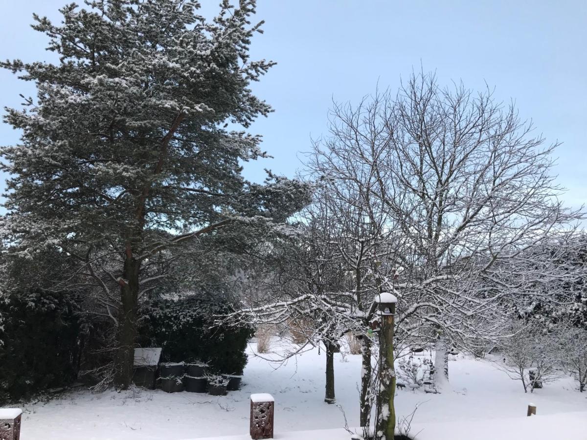 Appartamento Kleine Auszeit Mit Aussicht Velbert Toenisheide Esterno foto