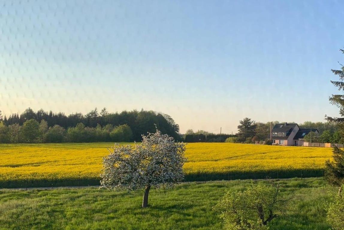 Appartamento Kleine Auszeit Mit Aussicht Velbert Toenisheide Esterno foto